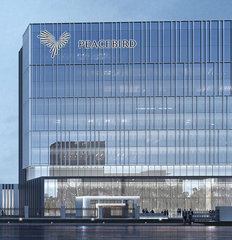 寧波太平鳥集團項目